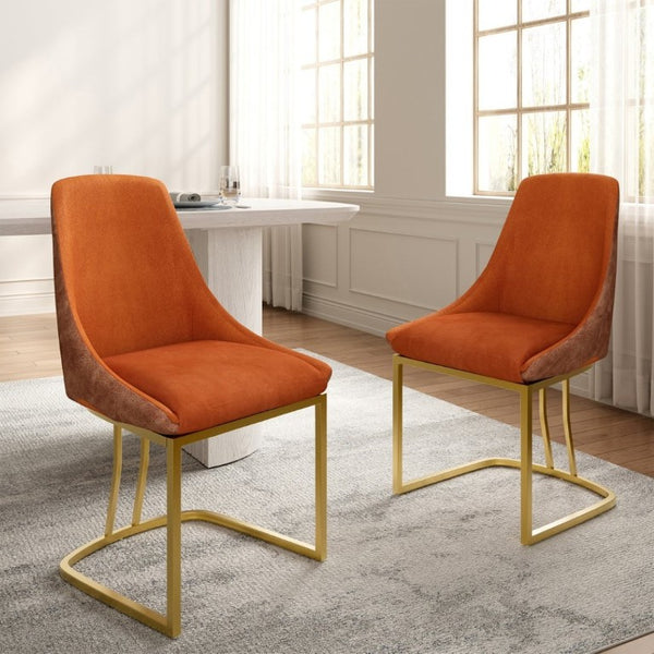 English Elm Modern Two-Tone Upholstered Dining Chairs with Slim Metal Legs for Contemporary Spaces Set of 2 T3609P548693