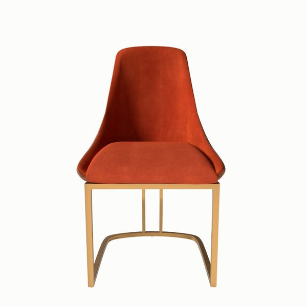 English Elm Modern Two-Tone Upholstered Dining Chairs with Slim Metal Legs for Contemporary Spaces Set of 2 T3609P548693