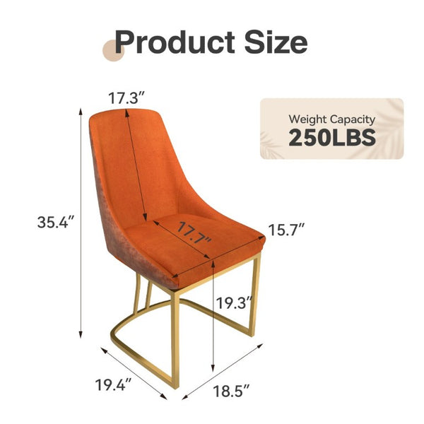 English Elm Modern Two-Tone Upholstered Dining Chairs with Slim Metal Legs for Contemporary Spaces Set of 2 T3609P548693