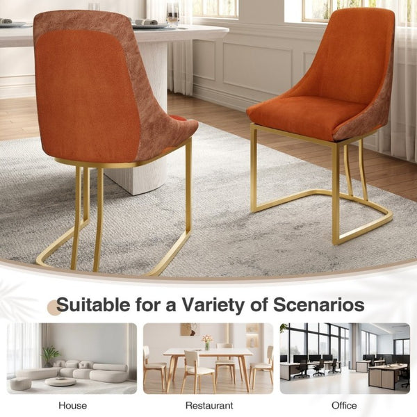 English Elm Modern Two-Tone Upholstered Dining Chairs with Slim Metal Legs for Contemporary Spaces Set of 2 T3609P548693