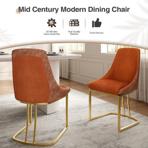English Elm Modern Two-Tone Upholstered Dining Chairs with Slim Metal Legs for Contemporary Spaces Set of 2 T3609P548693