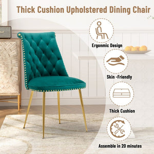 English Elm Modern Velvet Dining Chairs Set of 2 with Gold Accents and Adjustable Metal Legs T3609P548697
