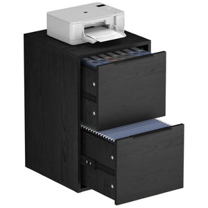 English Elm 24 Inch 2-Drawer Vertical File Cabinet Warm Wood Grain Finish for Home Office Use Black T3625P596678