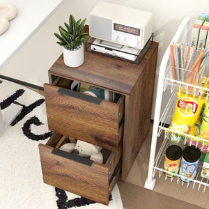 English Elm 24 Inch 2-Drawer Vertical File Cabinet Warm Wood Grain Finish for Home Office Use Dark Brown T3625P596771