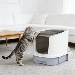 English Elm Easy Clean Enclosed Cat Litter Box Top Exit Polypropylene Odor Control Compact T3971P437251