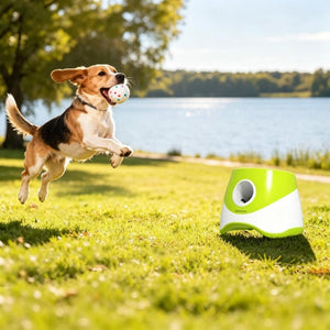 English Elm Fun Automatic Ball Launcher for Small Medium Dogs with Sensor and Three Distance Modes T3971P578566