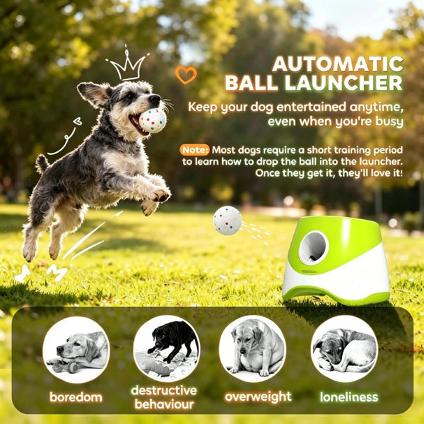 English Elm Fun Automatic Ball Launcher for Small Medium Dogs with Sensor and Three Distance Modes T3971P578566
