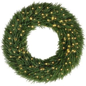 English Elm 48 Inch Pre-Lit Norfolk Pine Wreath with 150 Warm White LEDs for Festive Entryway Display Norfolk Pine T3971P588948
