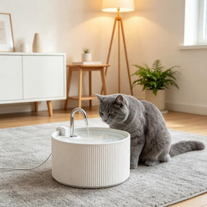 English Elm 2.2L(74oz) Ceramic Pet Water Fountain BPA Free Quad Filter Ultra Quiet Faucet Flow T3971P595510