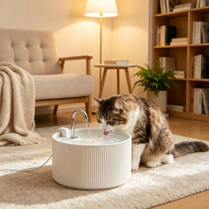 English Elm 2.2L(74oz) Ceramic Pet Water Fountain BPA Free Quad Filter Ultra Quiet Faucet Flow T3971P595510