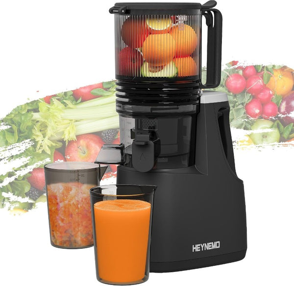 English Elm Slow Masticating Cold Press Juicer with Wide Feed Chute for Whole Fruits and Greens T6051P587396