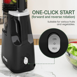 English Elm Slow Masticating Cold Press Juicer with Wide Feed Chute for Whole Fruits and Greens T6051P587396
