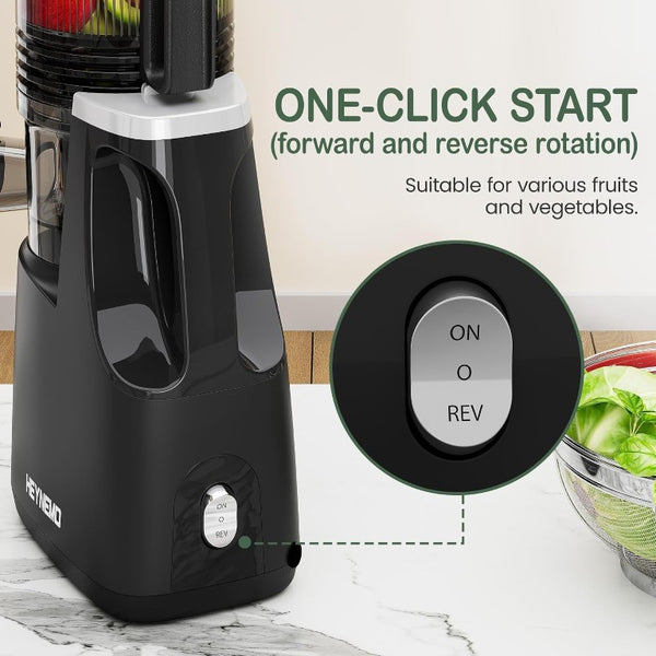 English Elm Slow Masticating Cold Press Juicer with Wide Feed Chute for Whole Fruits and Greens T6051P587396