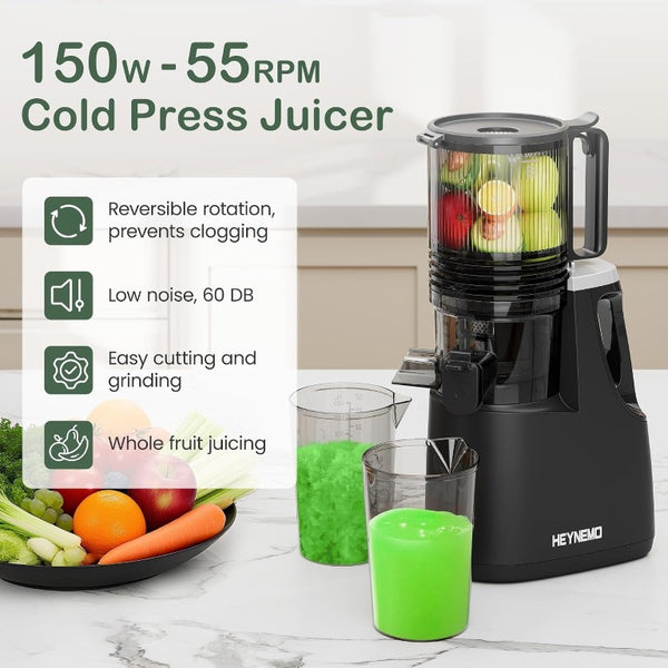 English Elm Slow Masticating Cold Press Juicer with Wide Feed Chute for Whole Fruits and Greens T6051P587396