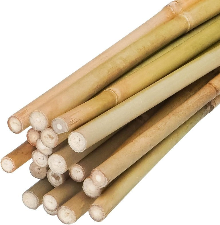 English Elm Natural Bamboo Garden Stakes Eco Friendly Support Rods for Climbing Vines and Potted Plants 4FT 100pcs T6325P549692