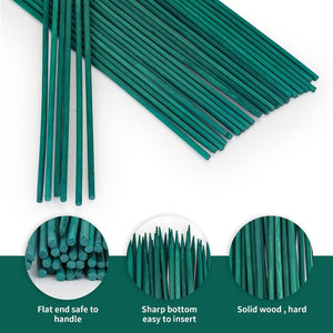 English Elm Green Dyed Bamboo Garden Stakes 2500 Pack Natural Floral Support for Tomato and Orchid T6325P563276