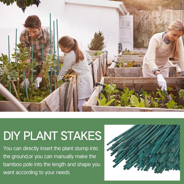 English Elm 4Ft Green Bamboo Plant Stakes Set of 200 with Twist Ties for Garden Trellis Support 5FT T6325P563375