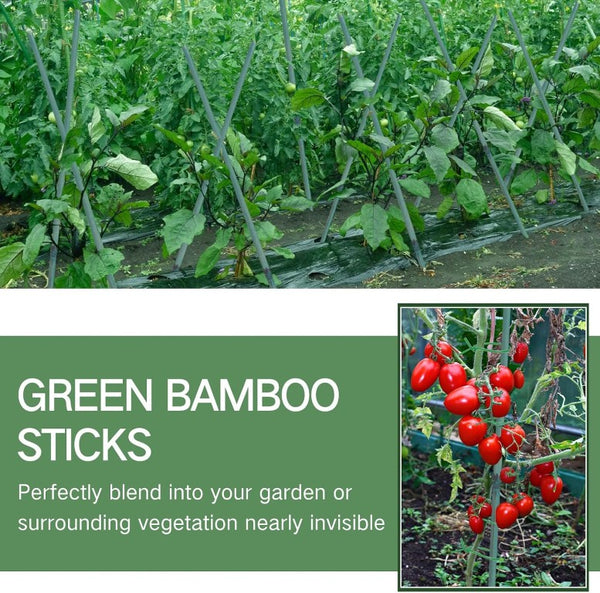 English Elm 5Ft Green Bamboo Garden Stakes 250 Pack for Climbing Vines Tomatoes and Raised Beds 5FT 250PCS T6325P563377