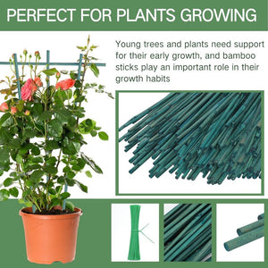 English Elm 5Ft Green Bamboo Garden Stakes 250 Pack for Climbing Vines Tomatoes and Raised Beds 6FT 60PCS T6325P563382