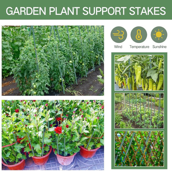 English Elm 5Ft Green Bamboo Garden Stakes 250 Pack for Climbing Vines Tomatoes and Raised Beds 6FT 120PCS T6325P563383