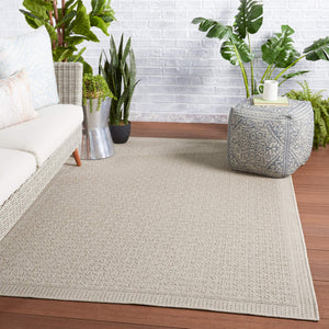 Jaipur Living Vibe by Jaipur Living Maeva Flatweave Polypropylene Indoor Outdoor Coastal Area Rug Gray 4'X6' RUG149670