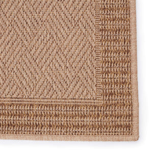 Jaipur Living Vibe by Jaipur Living Sisal-look Flatweave Polypropylene Indoor Outdoor Area Rug 9' X 12' RUG149702