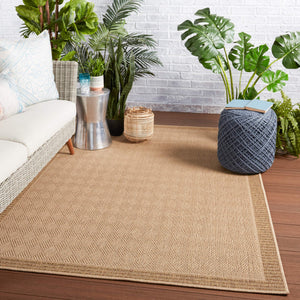 Jaipur Living Vibe by Jaipur Living Sisal-look Flatweave Polypropylene Indoor Outdoor Area Rug 9' X 12' RUG149702