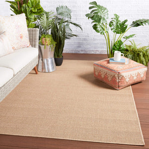 Jaipur Living Vibe by Jaipur Living Avae Polypropylene Flatweave Runner Rug for Patio or Foyer 5'3"X7'6" RUG149727