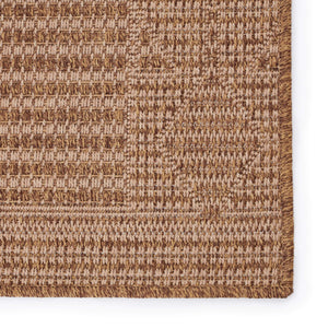 Jaipur Living Vibe by Jaipur Living Vahine Polypropylene Flatweave Sisal Look Indoor Outdoor Rug 2'6" x 8' RUG149739