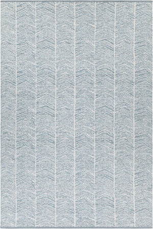 Chandra Rugs Hand-woven Cotton Rug - Exquisite Flatweave Design For Stylish Warmth In Any Living Space Decor! Blue,White Cotton Tan45913-576