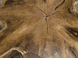 Noir Teak Root Coffee Table - Hand-Carved Organic Artistry with Unique Grain for Modern Rustic Interiors TEAK101