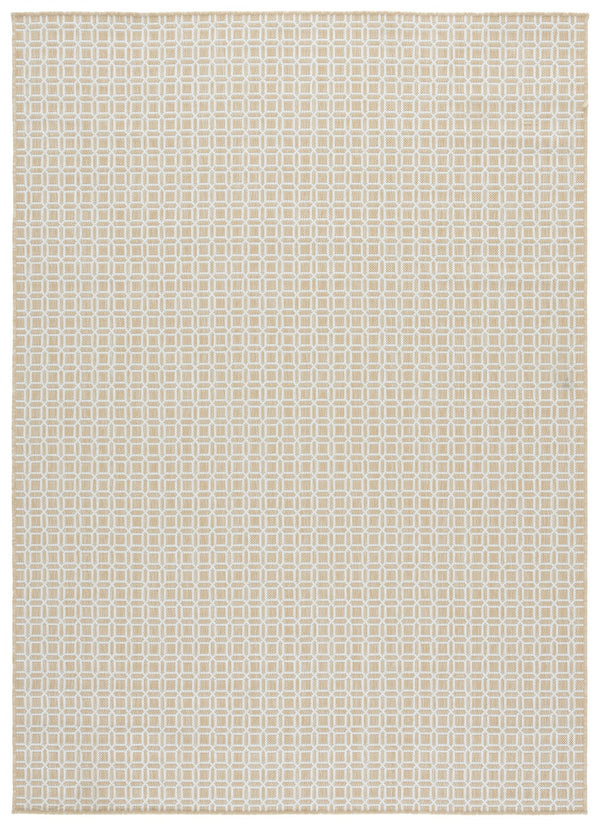 Safavieh Terrace Low-Profile Beige Ivory Rug With Timeless Geometric Motif — Durable Indoor/Outdoor Style 8'-0" x 10'-0" TER808B-8
