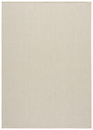 Safavieh Terrace Beige Ivory Area Rug 8X10 Low Pile Power-Loomed Polypropylene — Durable, Stain-Resistant Elegance 8'-0" x 10'-0" TER810B-8