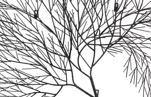 Phillips Collection Wire Tree Wall Art Sculpture - Modern Organic Design for Striking Home Decor & Gallery Walls Rectangular, Metal, Black TH100388