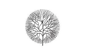 Phillips Collection Wire Tree Wall Art Sculpture - Modern Organic Design for Striking Home Decor & Gallery Walls Small, Circle, Metal, Black TH100392