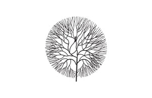 Phillips Collection Wire Branch Circular Metal Wall Sculpture Welded Matte Black Modern Organic Accent TH100392