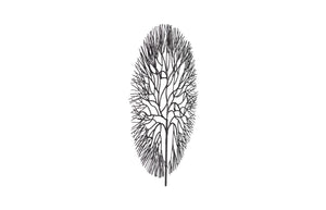 Phillips Collection Wire Tree Wall Art Sculpture - Modern Organic Design for Striking Home Decor & Gallery Walls Large, Circle, Metal, Black TH100394