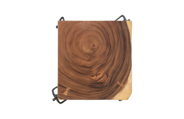Phillips Collection Atlas Side Table - Reclaimed Wood with Unique Stone Finish and Whimsical Metal Base for Any Space Chamcha Wood/Metal, Natural TH100397