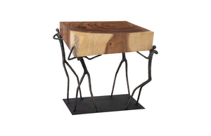 Phillips Collection Atlas Side Table - Reclaimed Wood with Unique Stone Finish and Whimsical Metal Base for Any Space Chamcha Wood/Metal, Natural TH100397