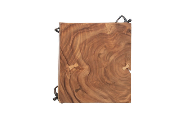 Phillips Collection Atlas Side Table - Reclaimed Wood with Unique Stone Finish and Whimsical Metal Base for Any Space Chamcha Wood/Metal, Natural TH100397
