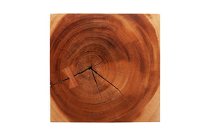 Phillips Collection Twist Stool - Handcrafted Chamcha Wood Accent Piece with Sculptural Spiral Design for Any Space Natural TH100628