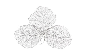 Phillips Collection Tri Leaf Metal Wall Sculpture Botanical Veined Copper Accent for Living Rooms Silver/Black Medium TH100856