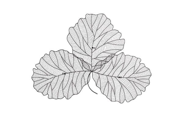Phillips Collection Tri Leaf Metal Wall Sculpture Botanical Veined Copper Accent for Living Rooms Silver/Black Medium TH100856