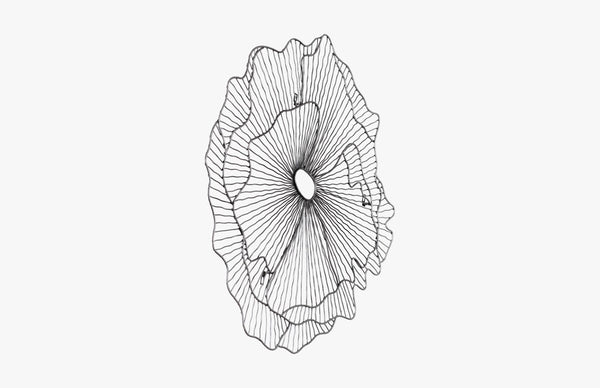 Phillips Collection Poppy Flower Wall Art Sculpture – Contemporary Organic Design To Elevate Your Home Décor Today! Silver,Black Metal Th108864