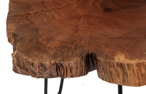 Phillips Collection Burled Wood Coffee Table with Black Metal Legs - Unique Live-Edge Design for Modern Living Spaces Small TH109378