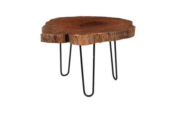 Phillips Collection Burled Wood Coffee Table with Black Metal Legs - Unique Live-Edge Design for Modern Living Spaces Small TH109378