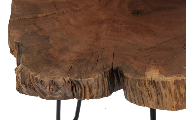 Phillips Collection Burled Wood Coffee Table with Matte Black Iron Legs Organic Grain Natural Accent TH109378