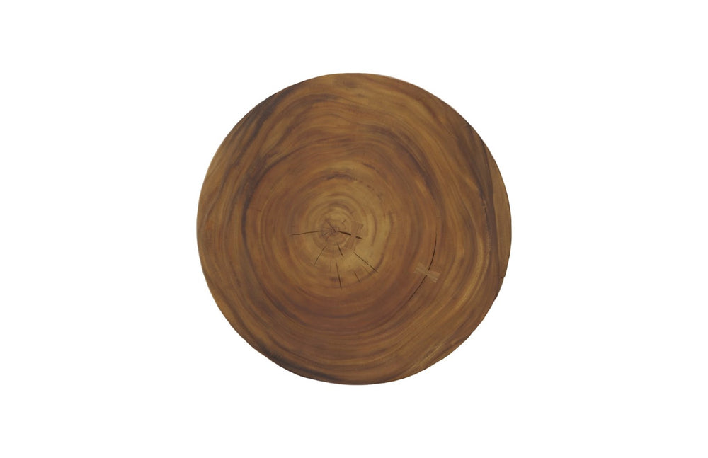 Phillips Collection Chuleta Natural Bar Table - Unique Chamcha Wood Top On Stylish Black Iron Base For Modern Spaces Black,Brown Wood Th110311