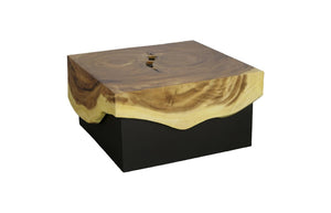 Phillips Collection Overflow Reclaimed Acacia Square Coffee Table with Black Iron Base for Modern Rustic Rooms TH110323