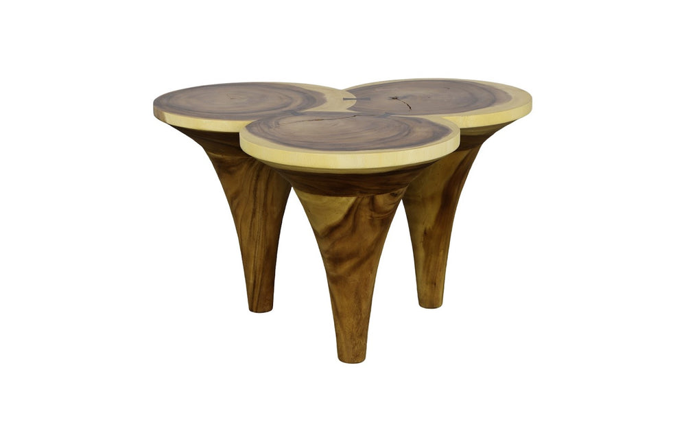 Phillips Collection Marley Coffee Table - Chic Natural Accent With Unique Golf-tee Design & Smooth Scalloped Top Finish Brown Wood ,Chamcha Wood Th112228
